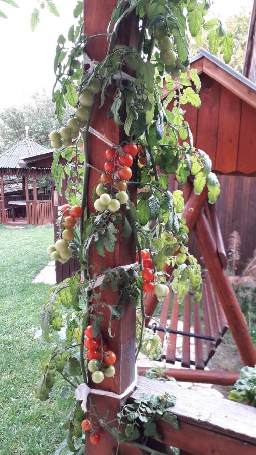 Pensiunea Shalom Sîncraiu Zewnętrze zdjęcie